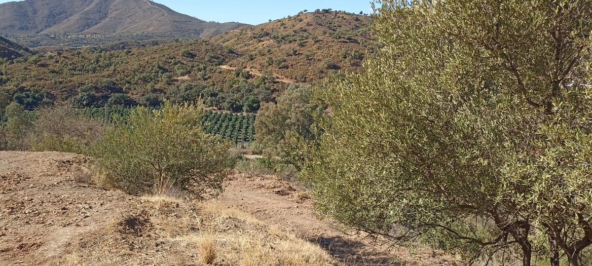 Country house in Mijas - Foto 3