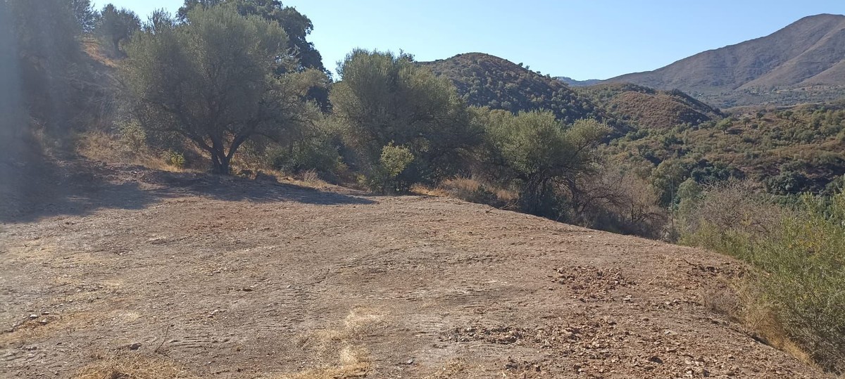 Country house in Mijas - Foto 4