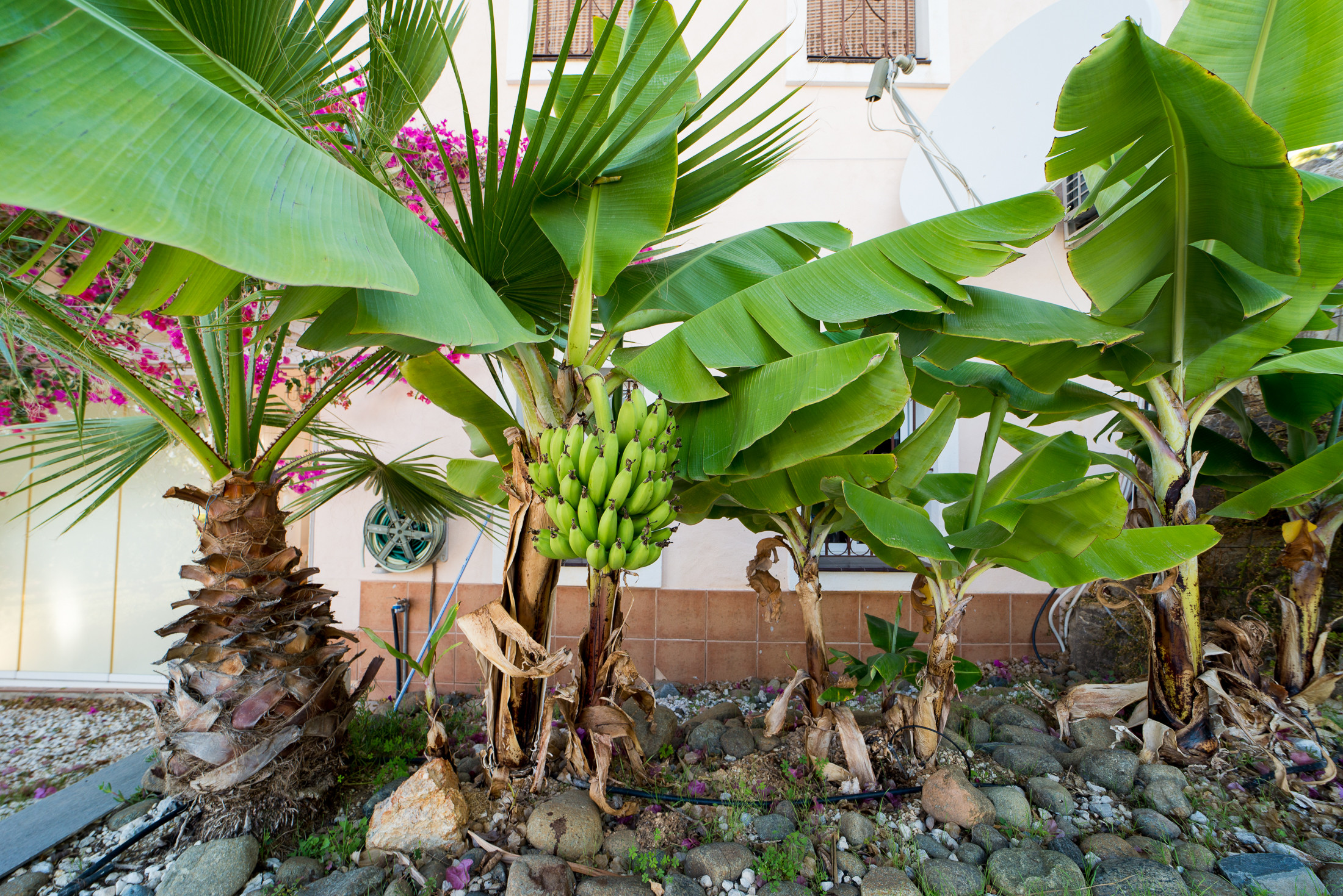 7 Bedroom Villa in Estepona - Photo 13