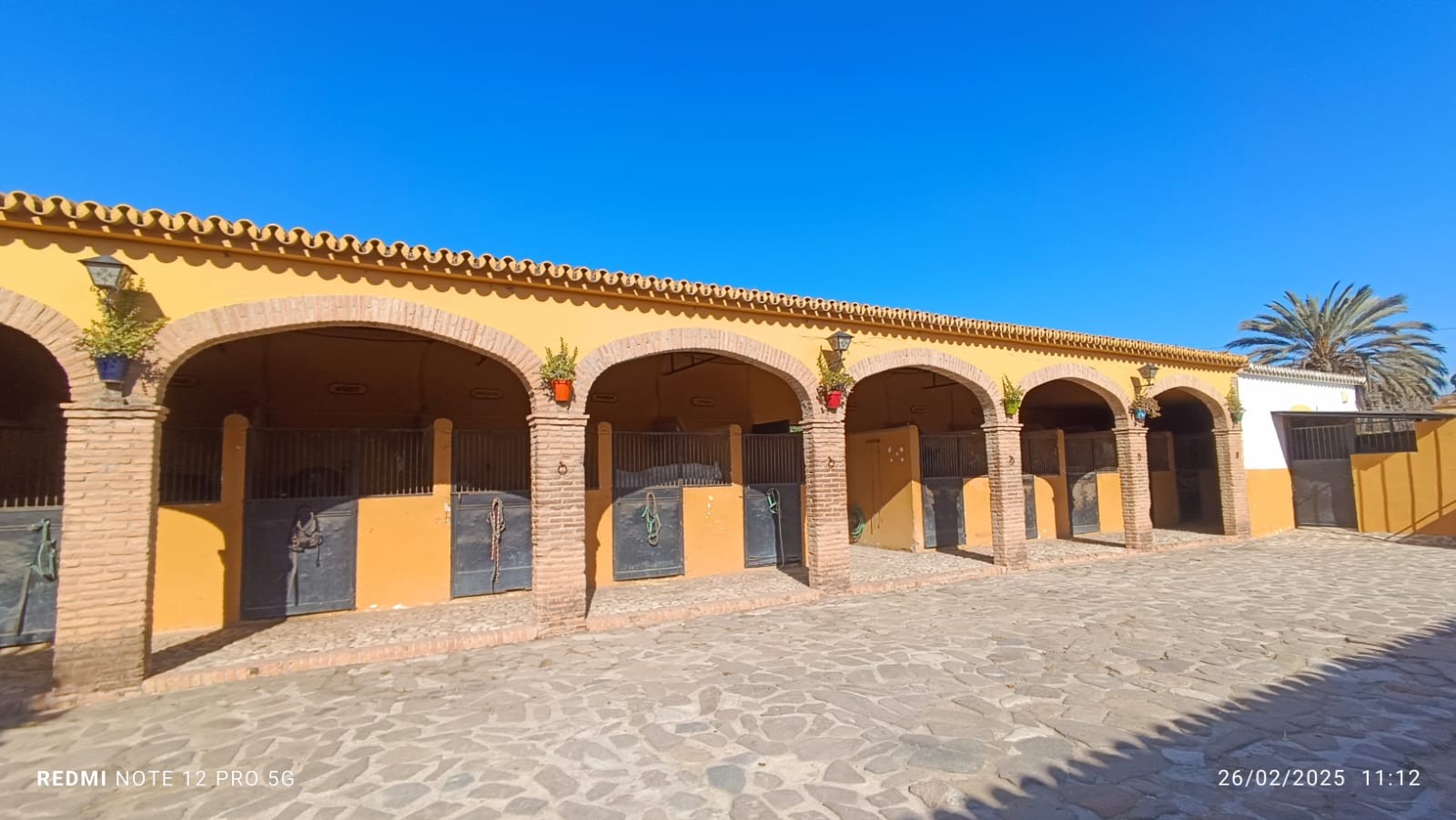 Plot in El Pinar