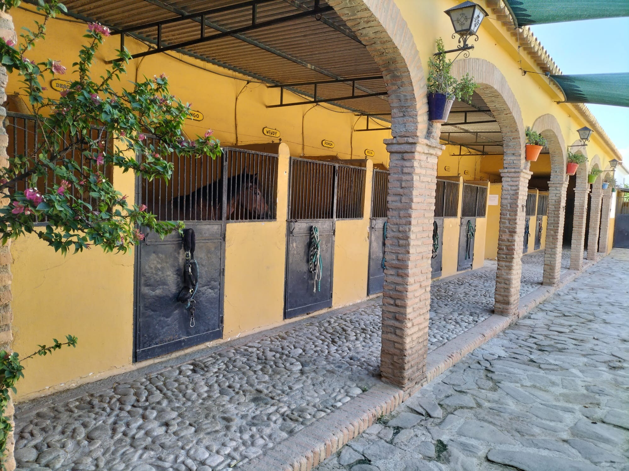 1,601 m² Plot in Torremolinos - Photo 15