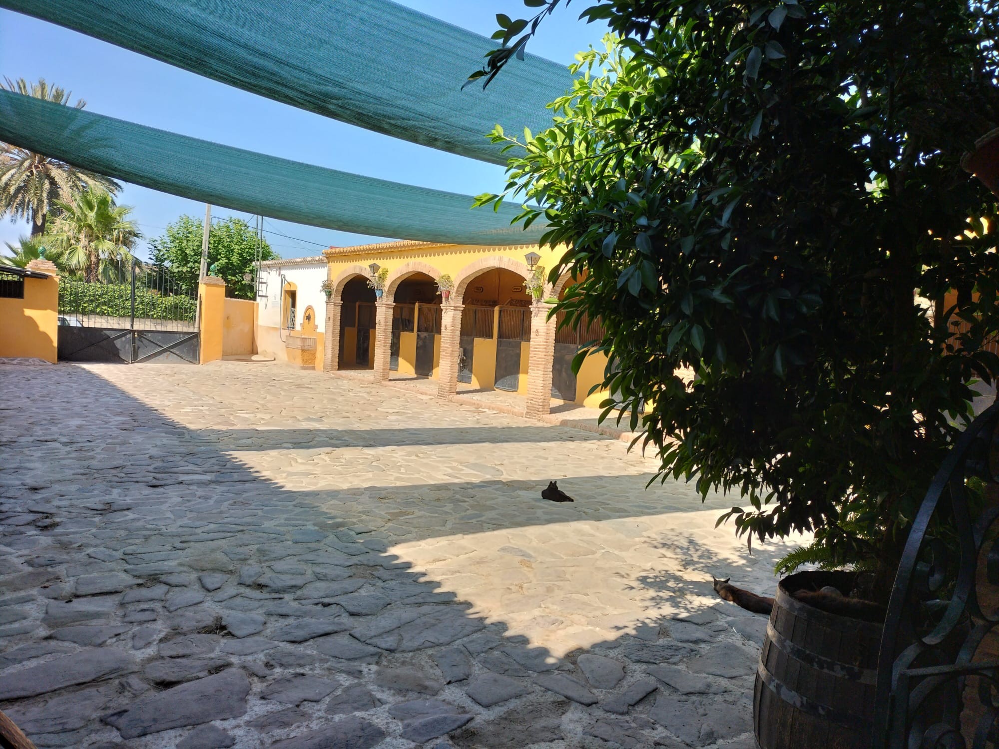 1,601 m² Plot in Torremolinos - Photo 18