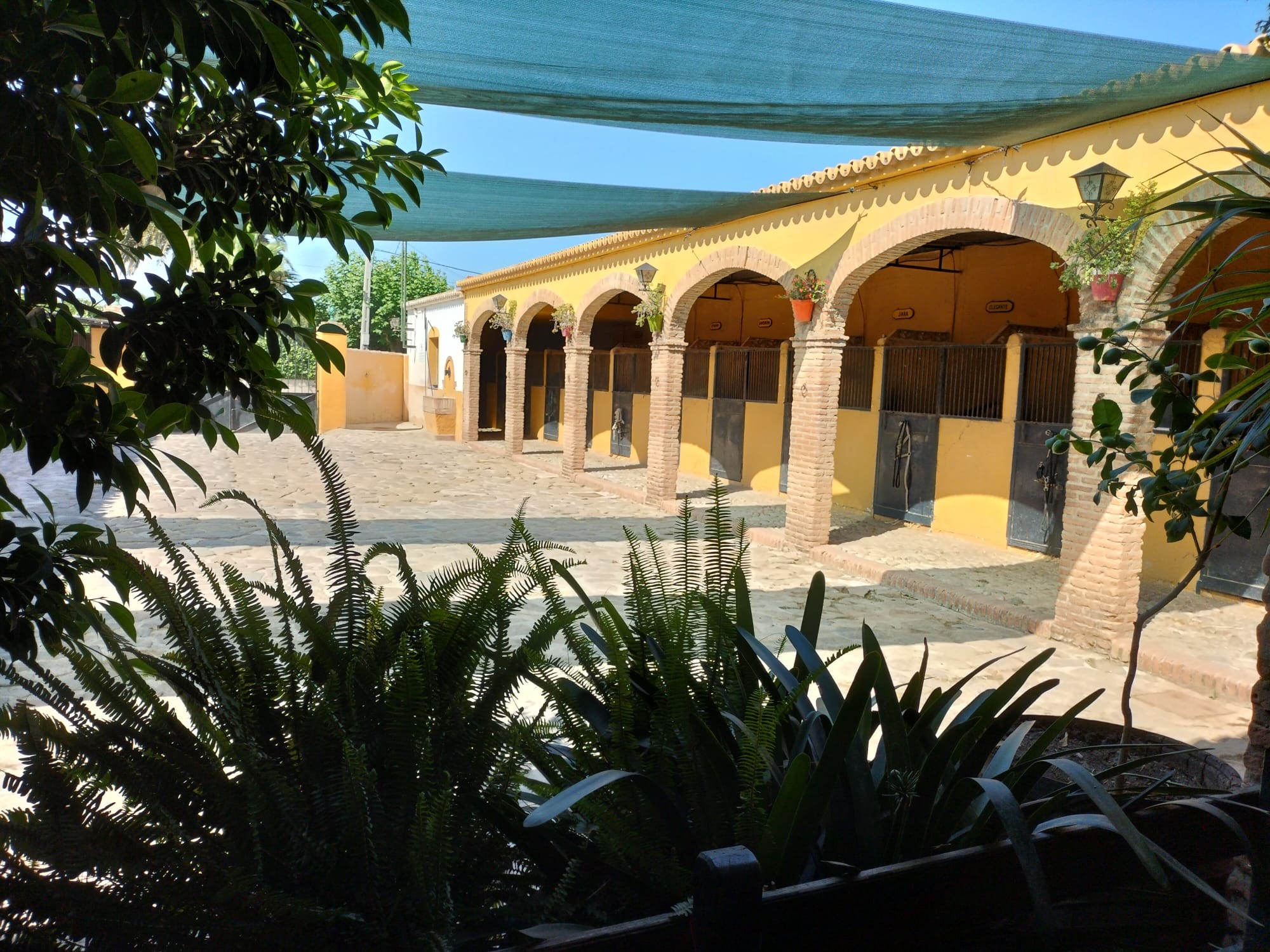 1,601 m² Plot in Torremolinos - Photo 22