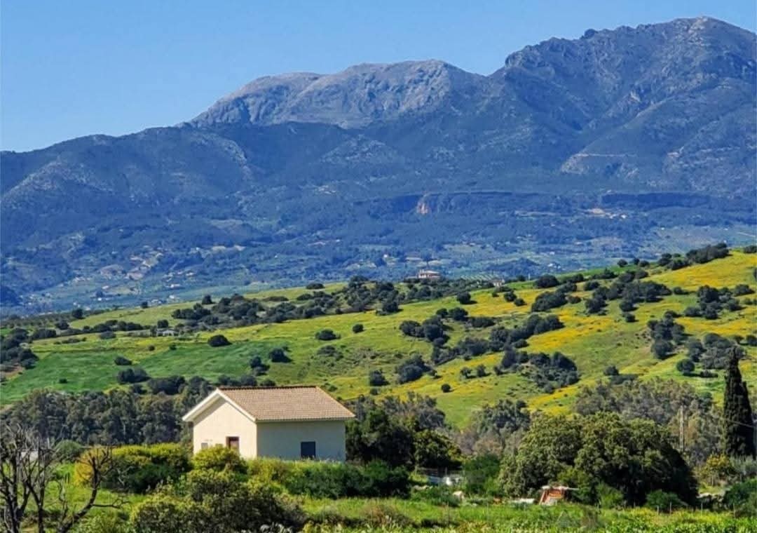 4 Bedroom Country house in Coín - Foto 24