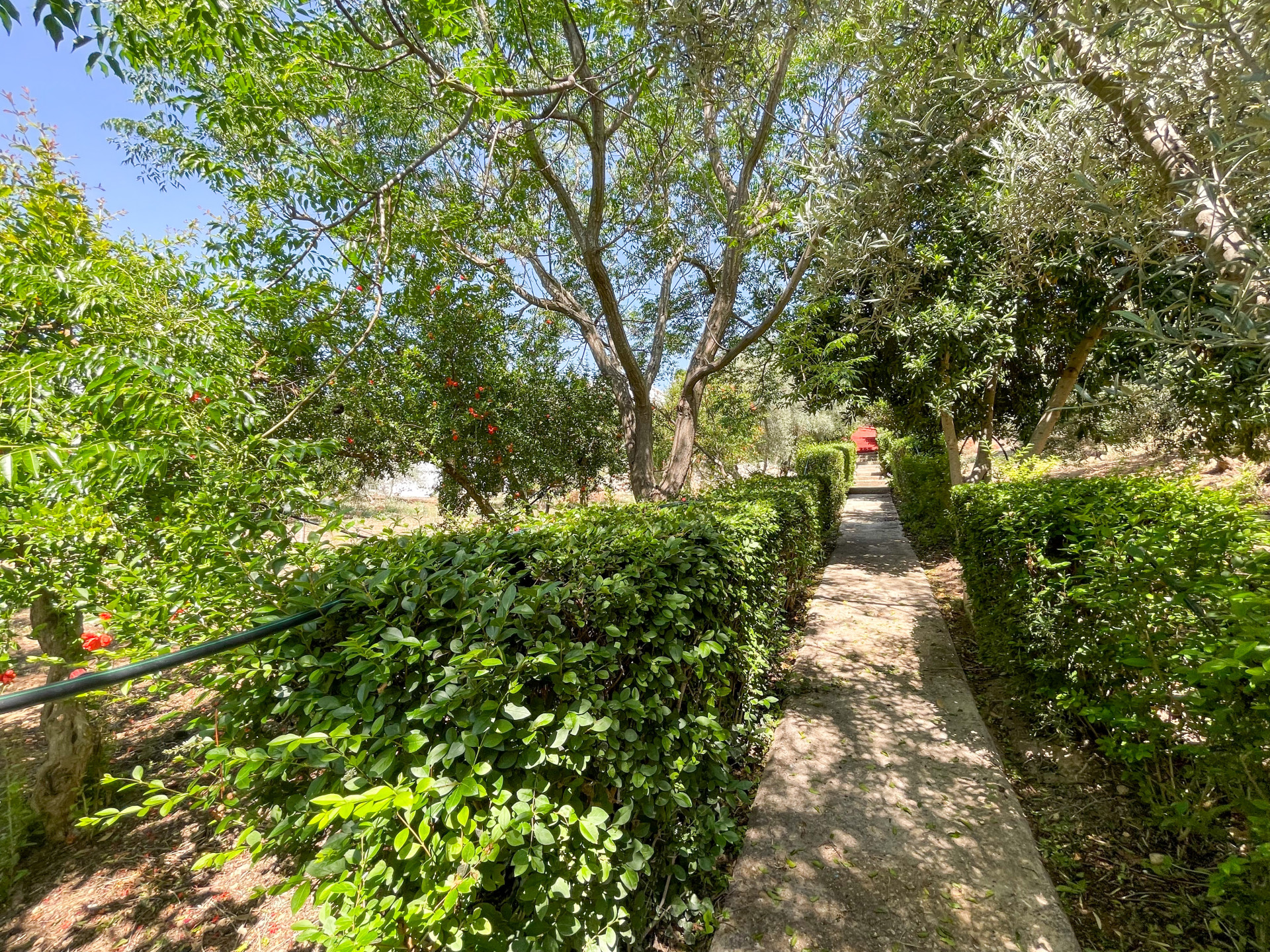 6 Bedroom Country house in Antequera - Photo 25