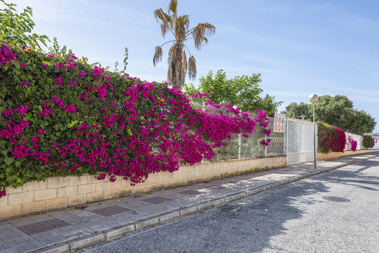 4 Bedroom Townhouse in Mijas - Photo 15