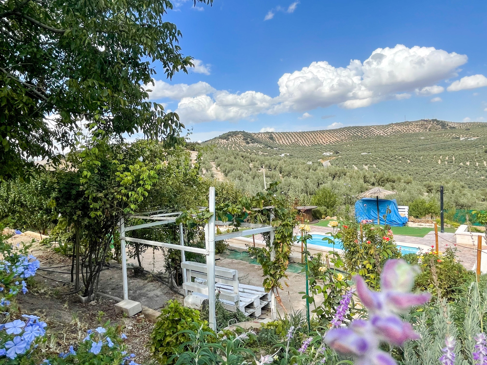 Moradia com 4 quartos com piscina em Córdoba, Espanha – Foto 1