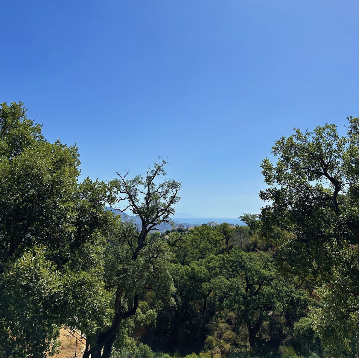 2,141 m² Plot in Marbella - Photo 5