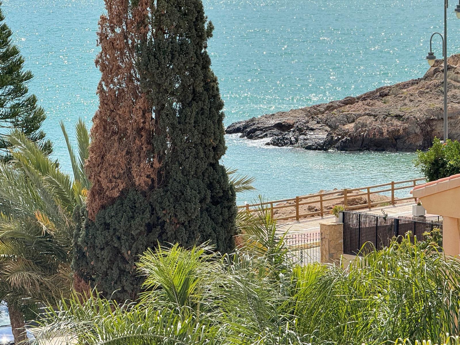 Moradia com 5 quartos com piscina em Múrcia, Espanha – Foto 9