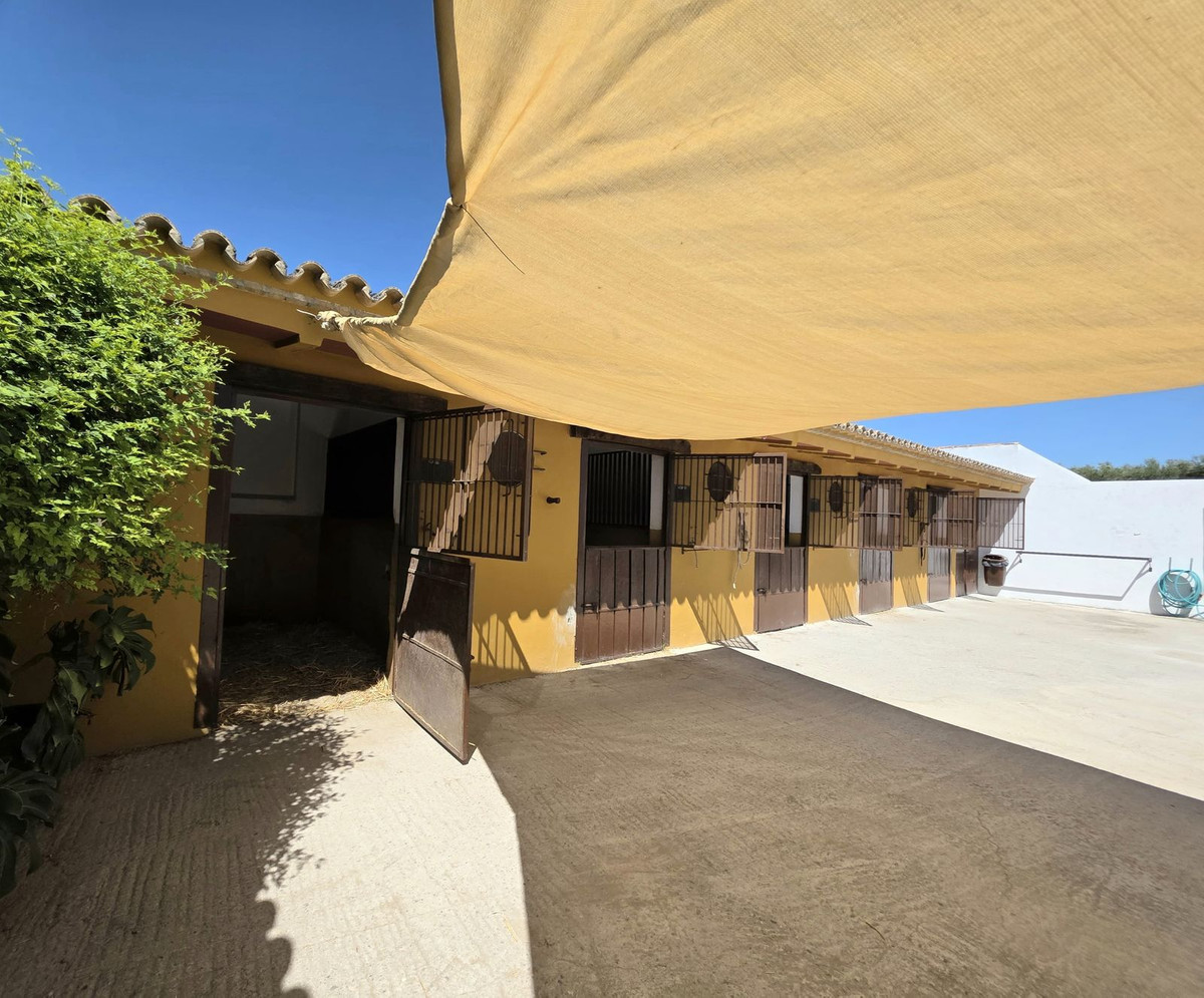 Moradia com 4 quartos com piscina em Sevilla, Espanha – Foto 10