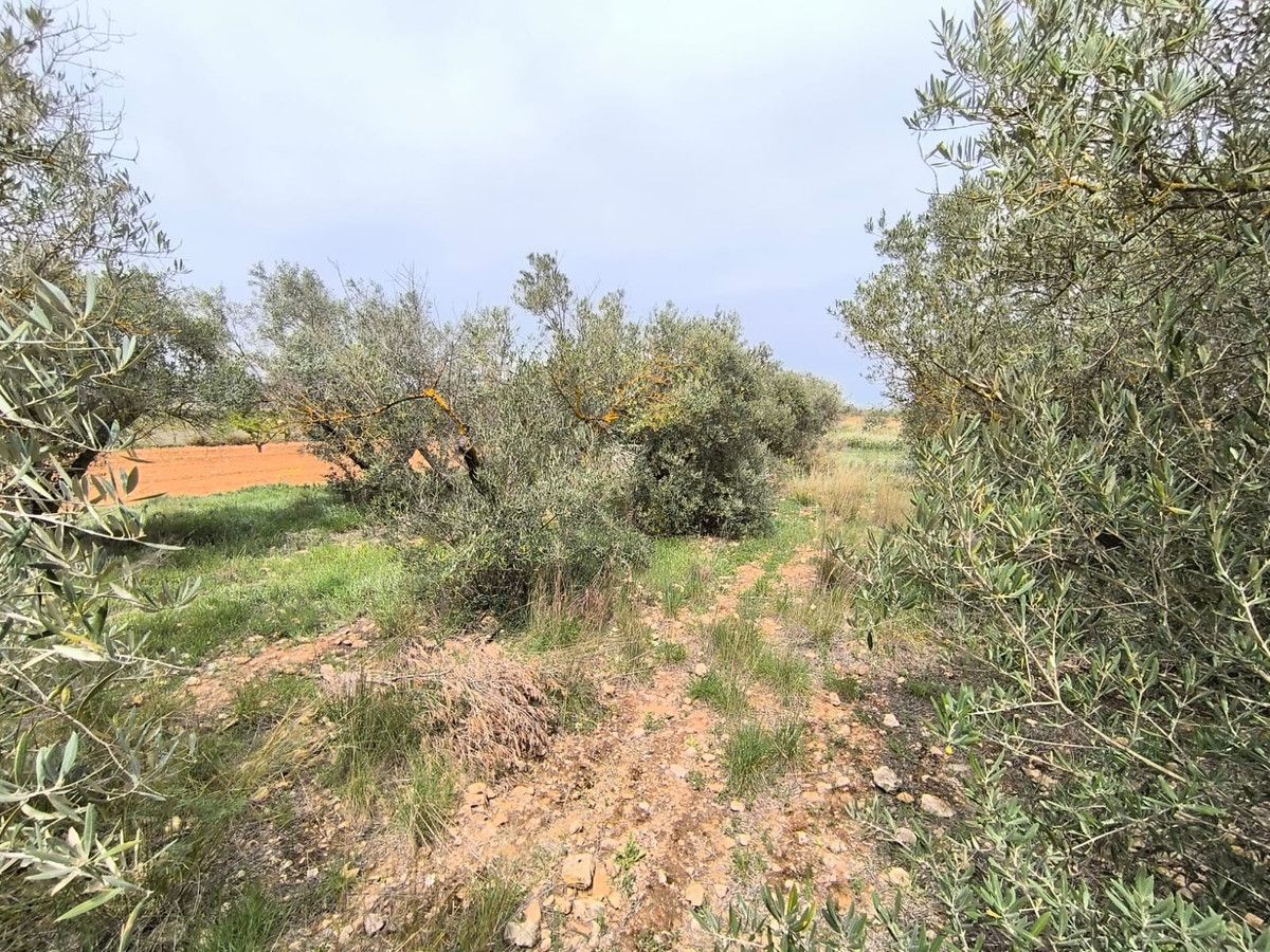 Villa con 3 camere a Murcia, Spagna – Foto 17