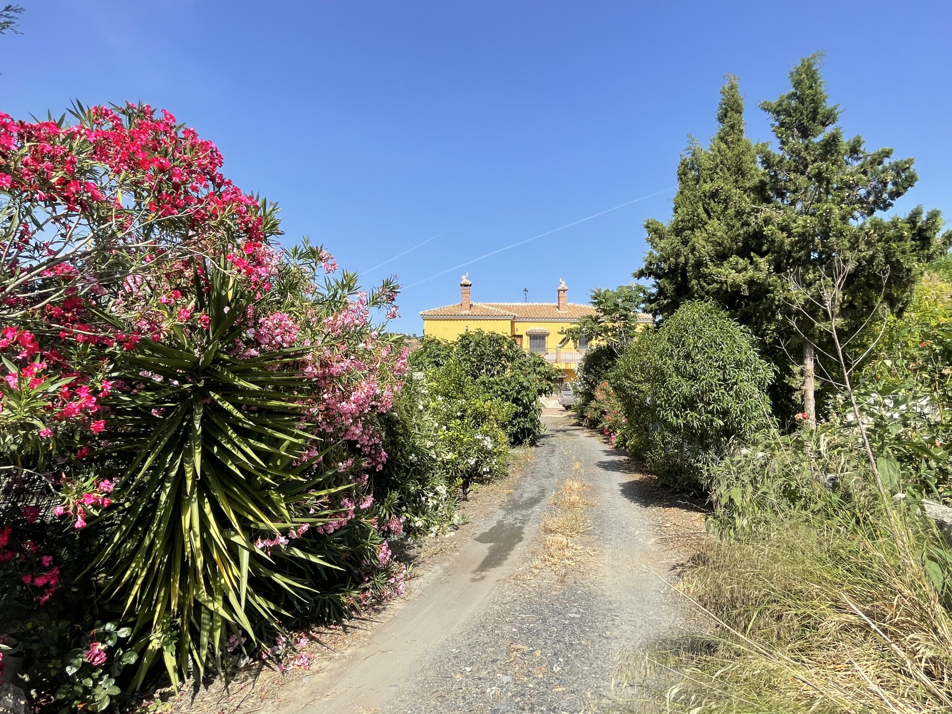 14 Bedroom Country house in Villanueva de la Concepción - Photo 8