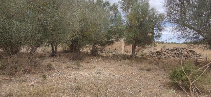 Villa de 7 chambres avec piscine à Baléares, Espagne – Photo 20