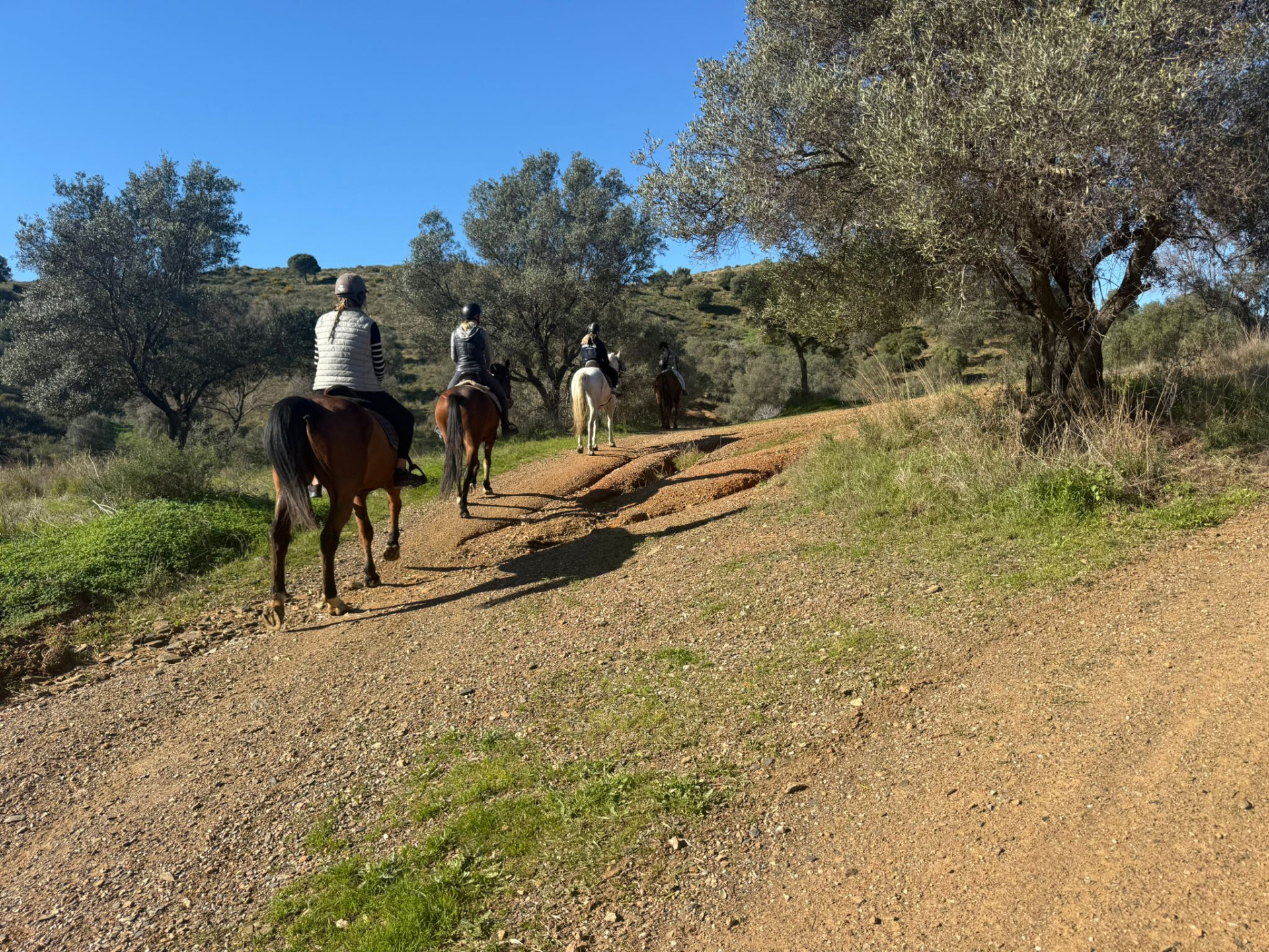 90,882 m² Plot in Mijas - Photo 2