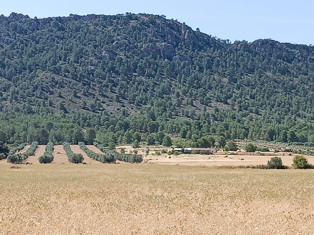 Moradia com 3 quartos em Múrcia, Espanha – Foto 15