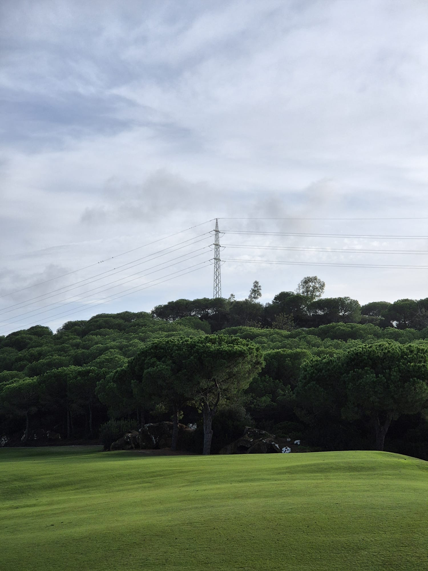 4,104 m² Plot in Sotogrande - Photo 4