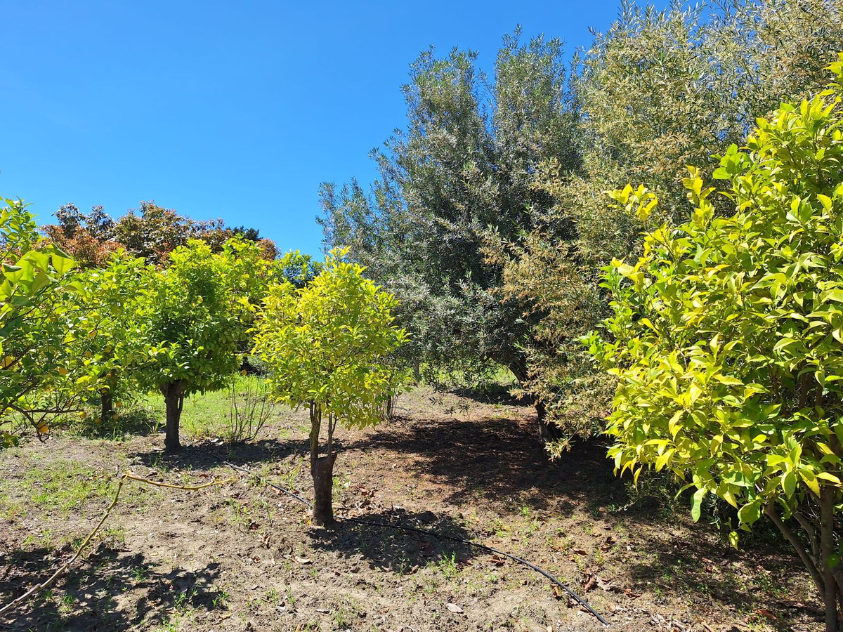 3 Bedroom Country house in Estepona - Photo 11