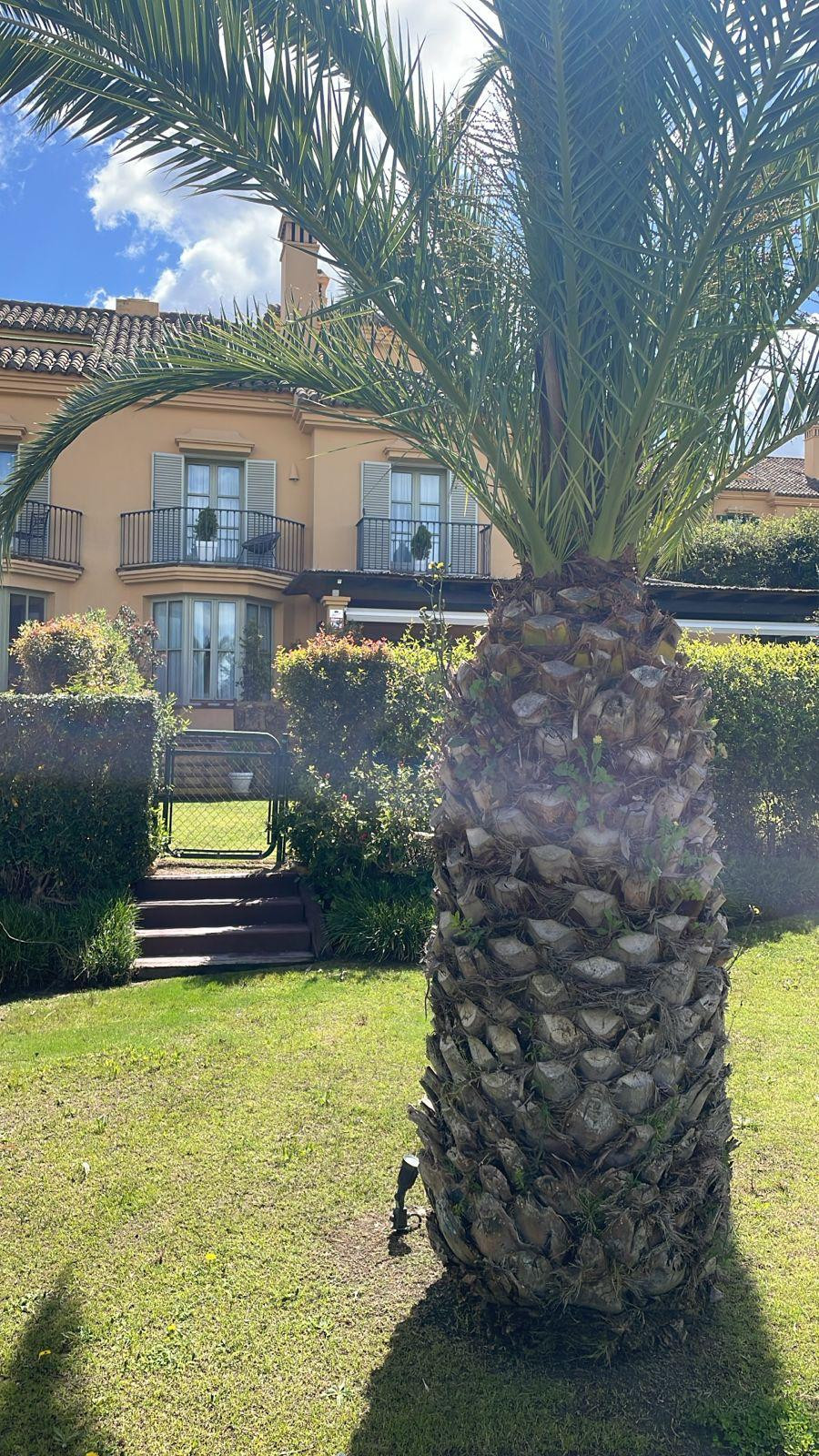 4 Bedroom Villa in Sotogrande - Photo 17
