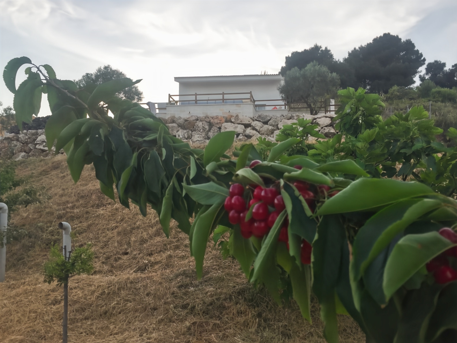 Chalet de 2 dormitorios en Málaga – Foto 2