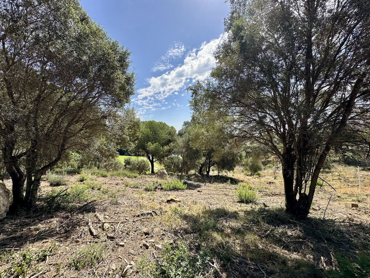 3,455 m² Plot in Sotogrande - Photo 5