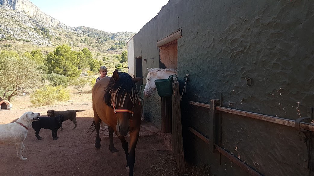 Moradia com 3 quartos com piscina em Málaga, Espanha – Foto 26