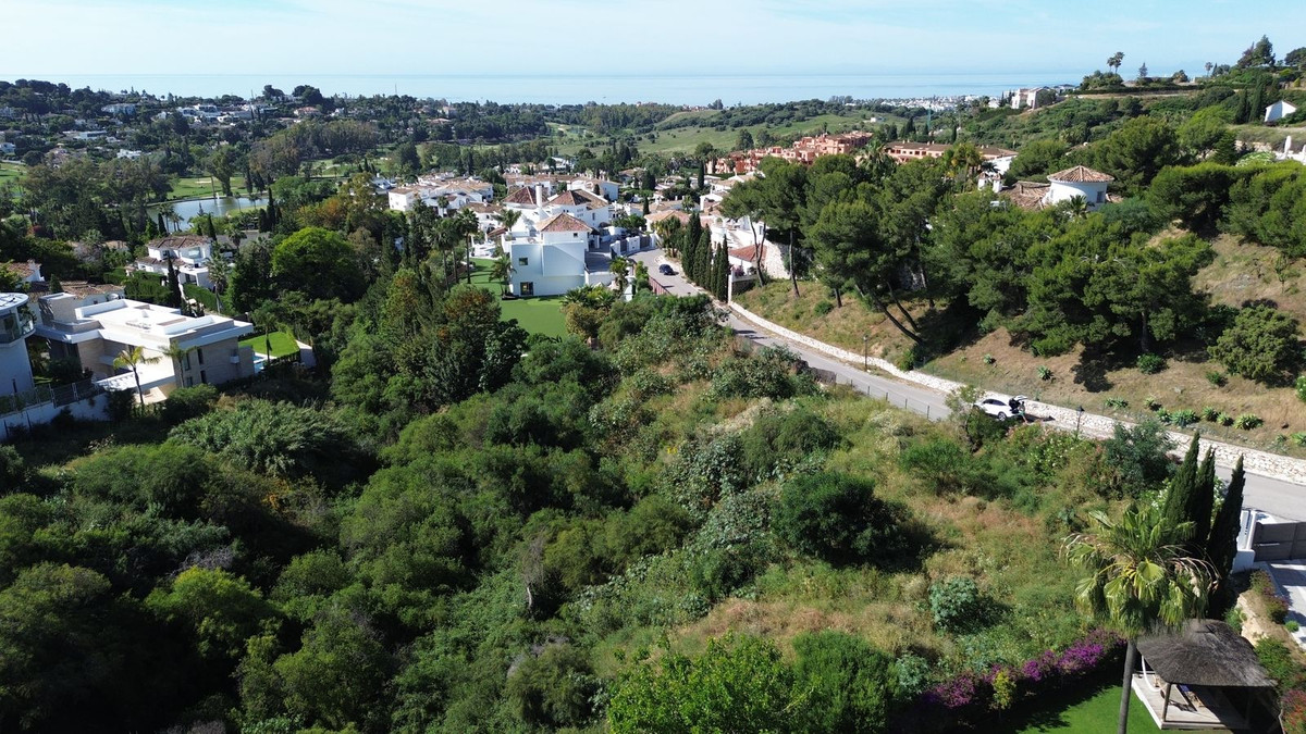 Plot in El Paraiso