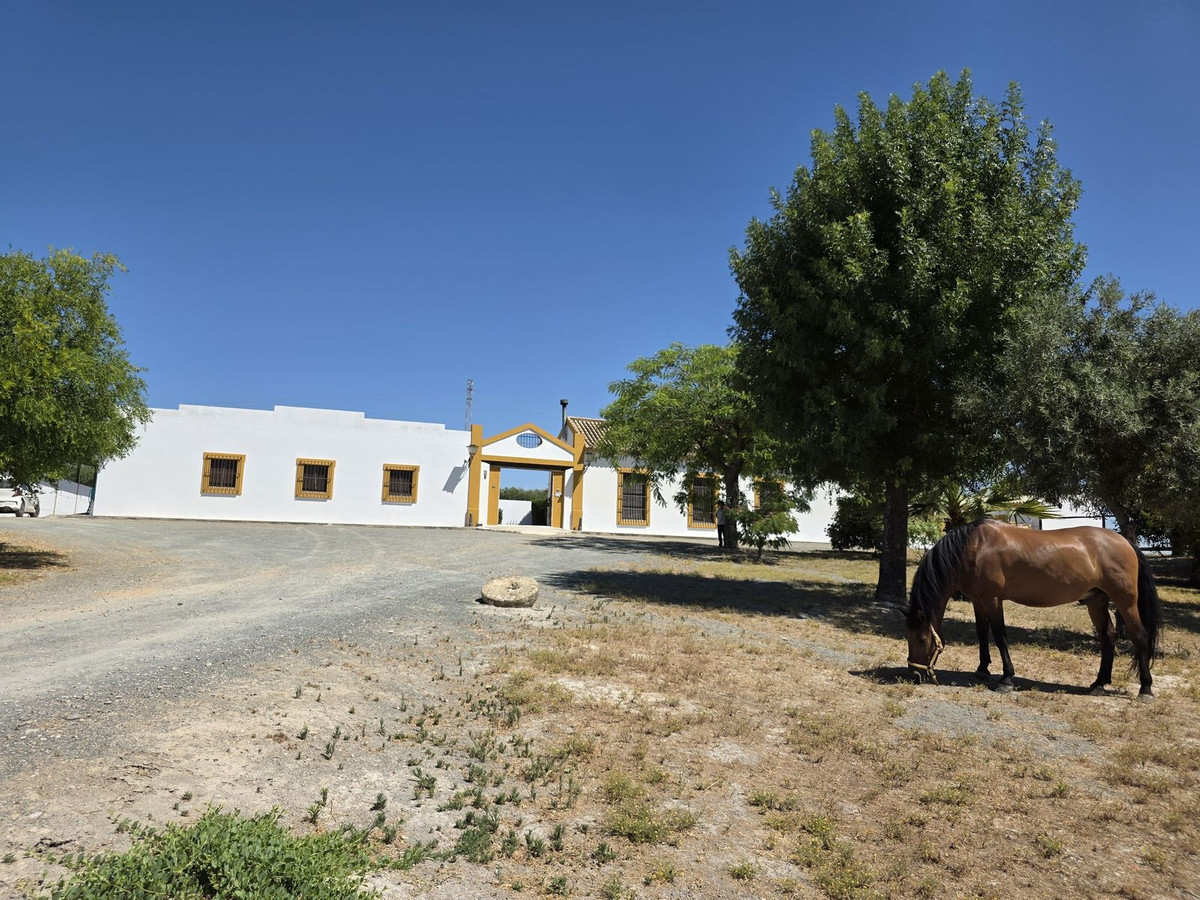 Moradia com 4 quartos com piscina em Sevilla, Espanha – Foto 3