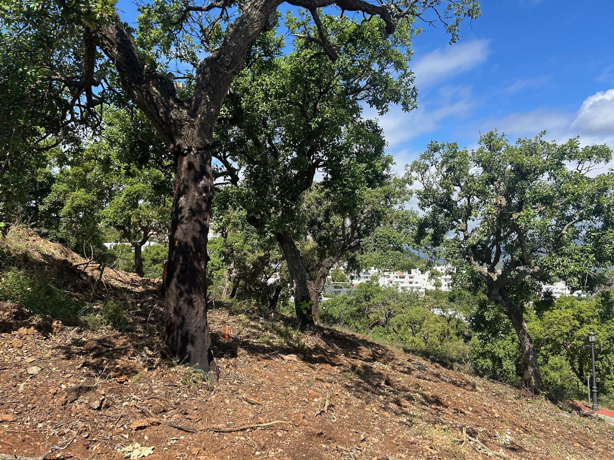 1,121 m² Plot in Marbella - Photo 4