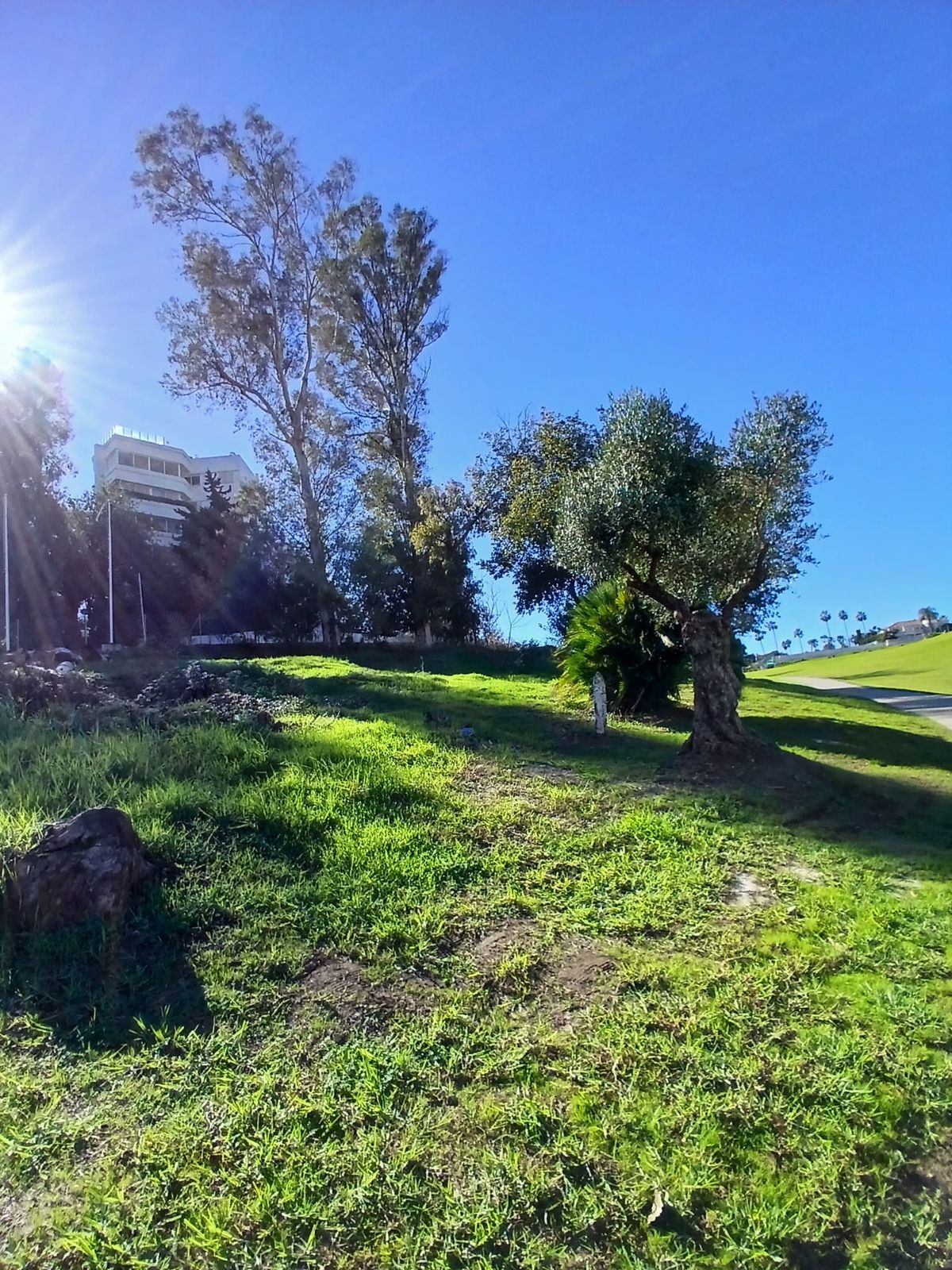 1,050 m² Plot in San Pedro de Alcántara - Photo 4
