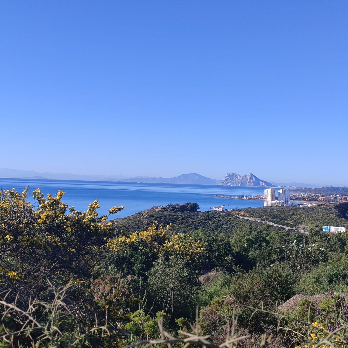 451 m² Plot in San Roque - Photo 2