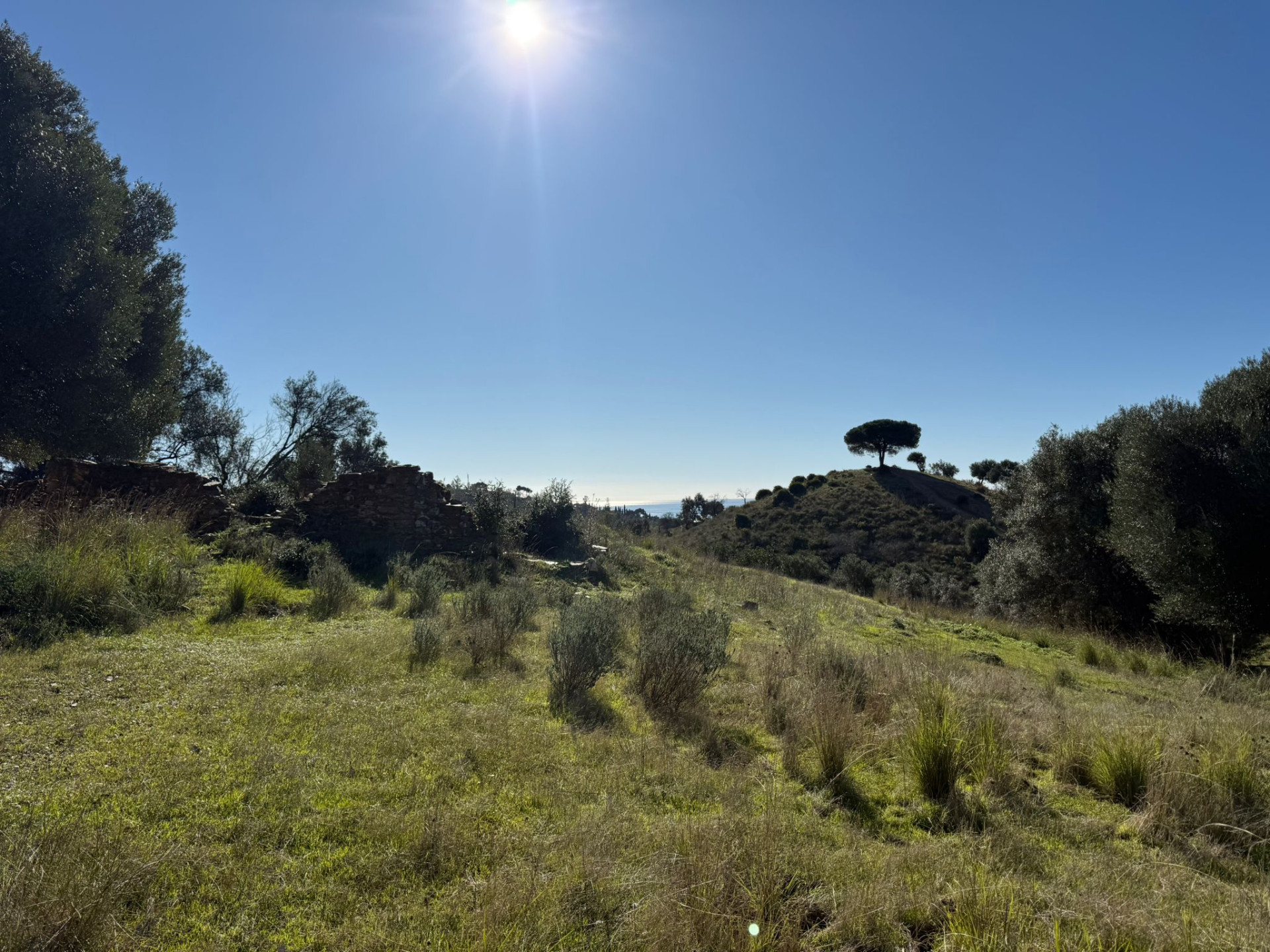 90,882 m² Plot in Mijas - Photo 12
