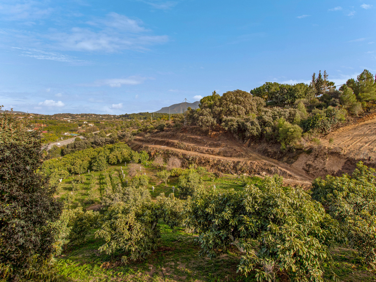 Local commercial à Malaga, Espagne – Photo 12