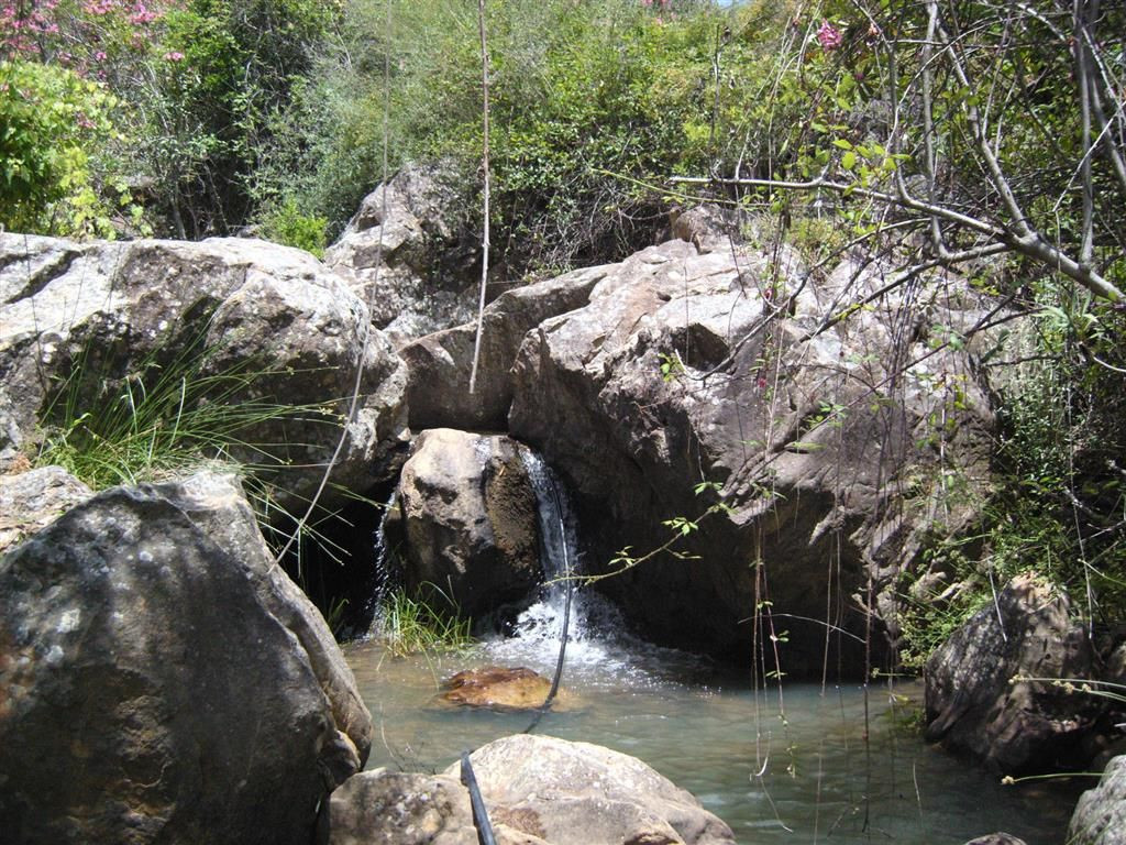 300,000 m² Plot in Cortes de la Frontera - Photo 4