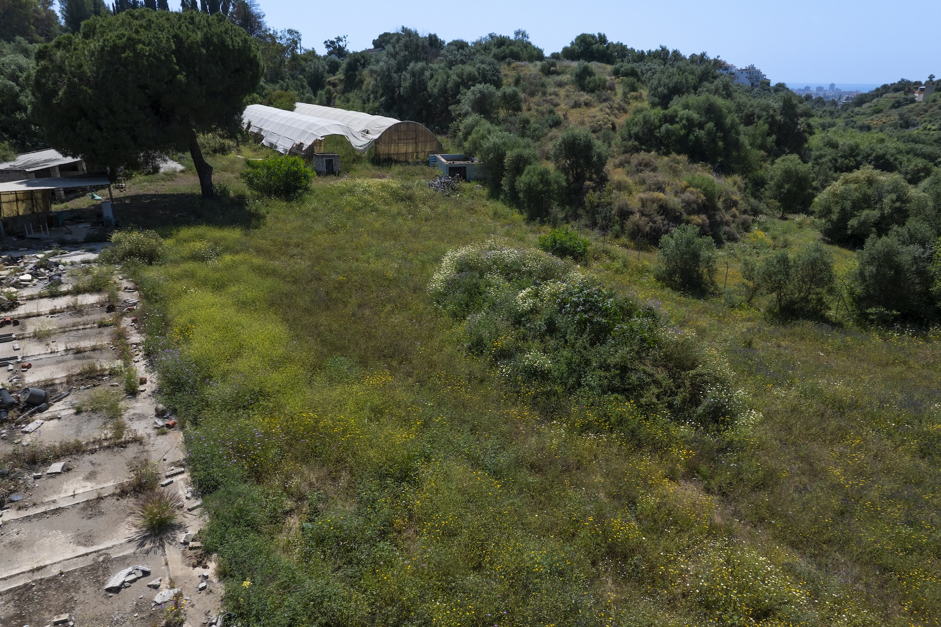 6,677 m² Plot in Mijas - Photo 10