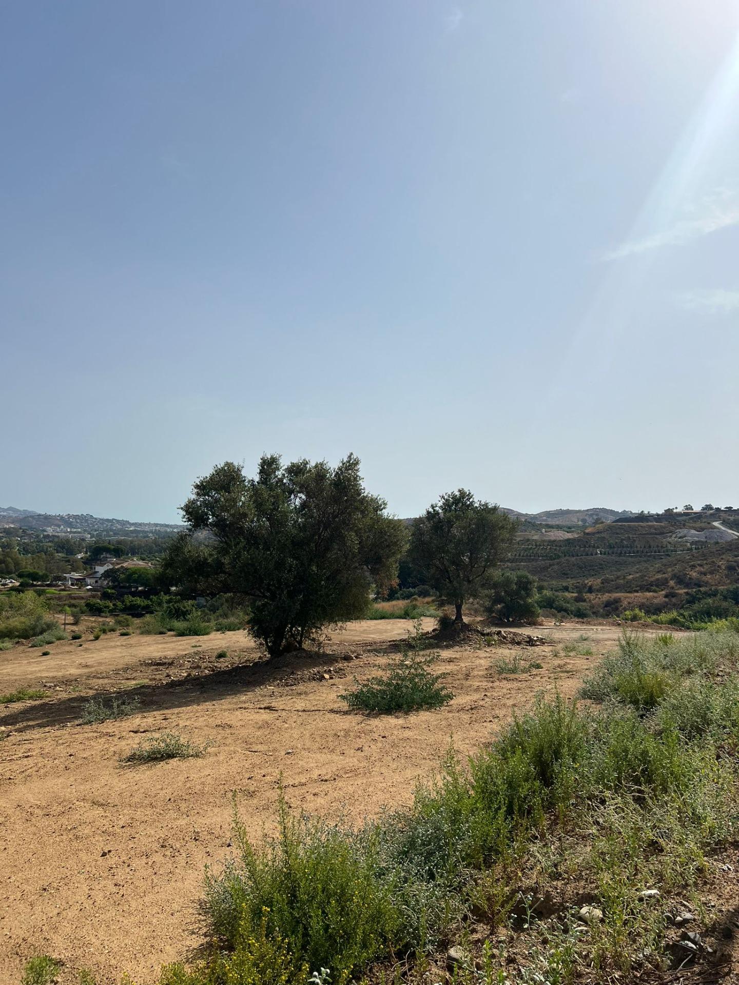 13,000 m² Plot in Mijas - Photo 17