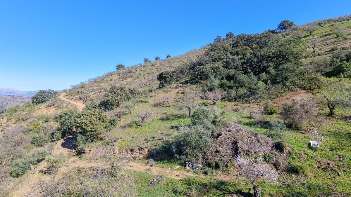 116,511 m² Plot in Málaga - Photo 2