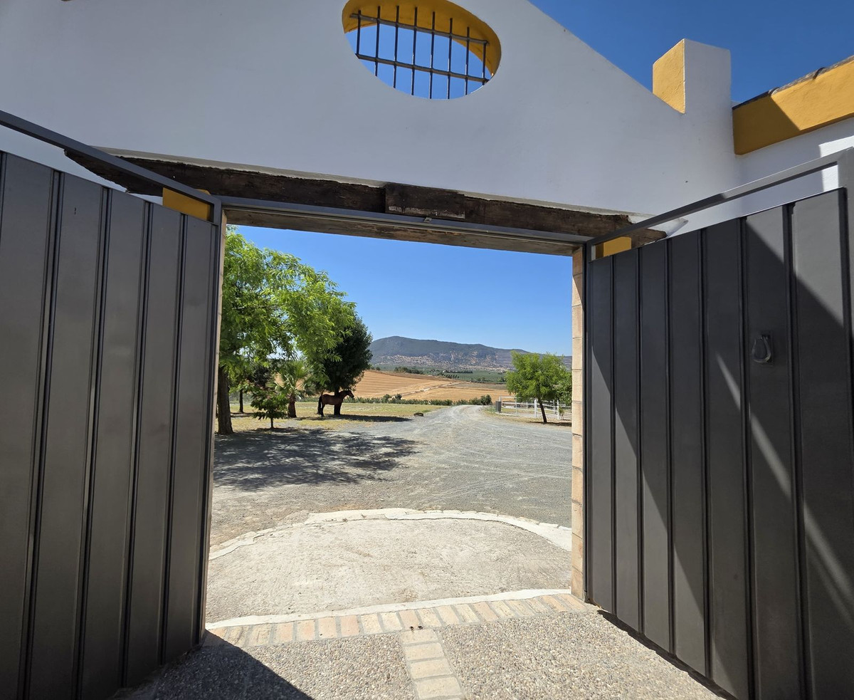 Moradia com 4 quartos com piscina em Sevilla, Espanha – Foto 5