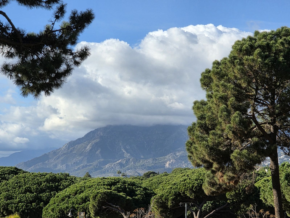 2 Bedroom Apartment in Marbella - Photo 11