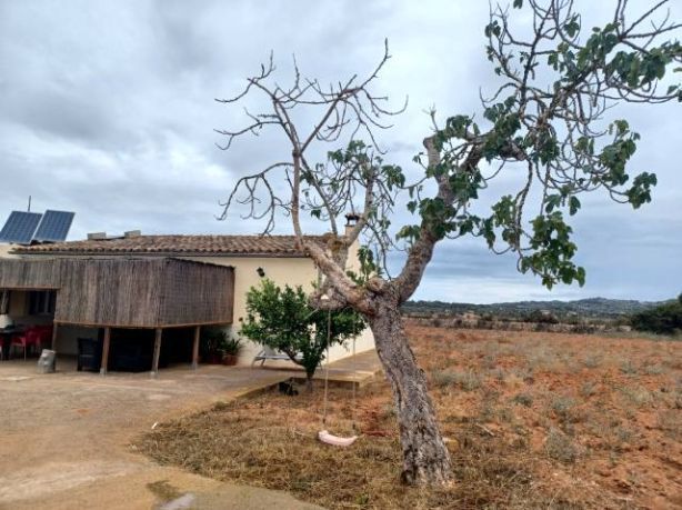 Moradia com 3 quartos com piscina em Baleares, Espanha – Foto 22