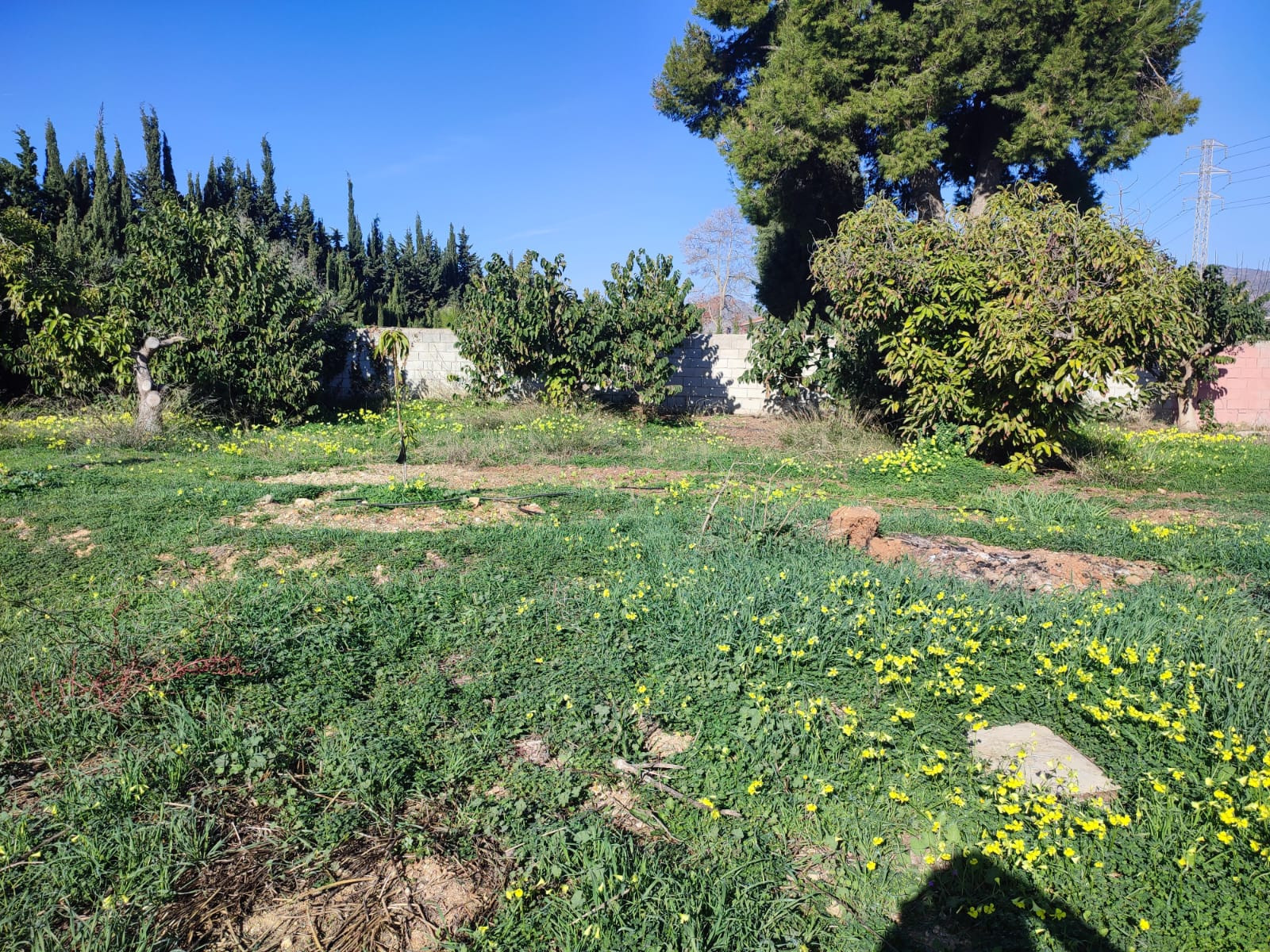 3 Bedroom Country house in Alhaurín de la Torre - Photo 16
