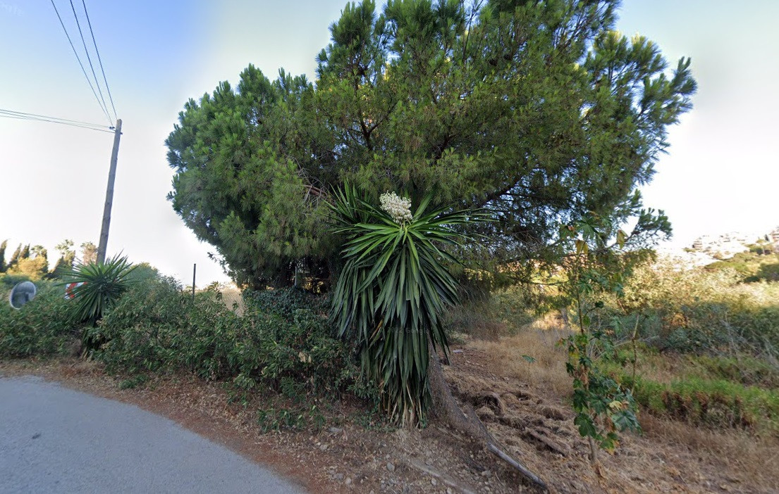 902 m² Plot in Marbella - Photo 2