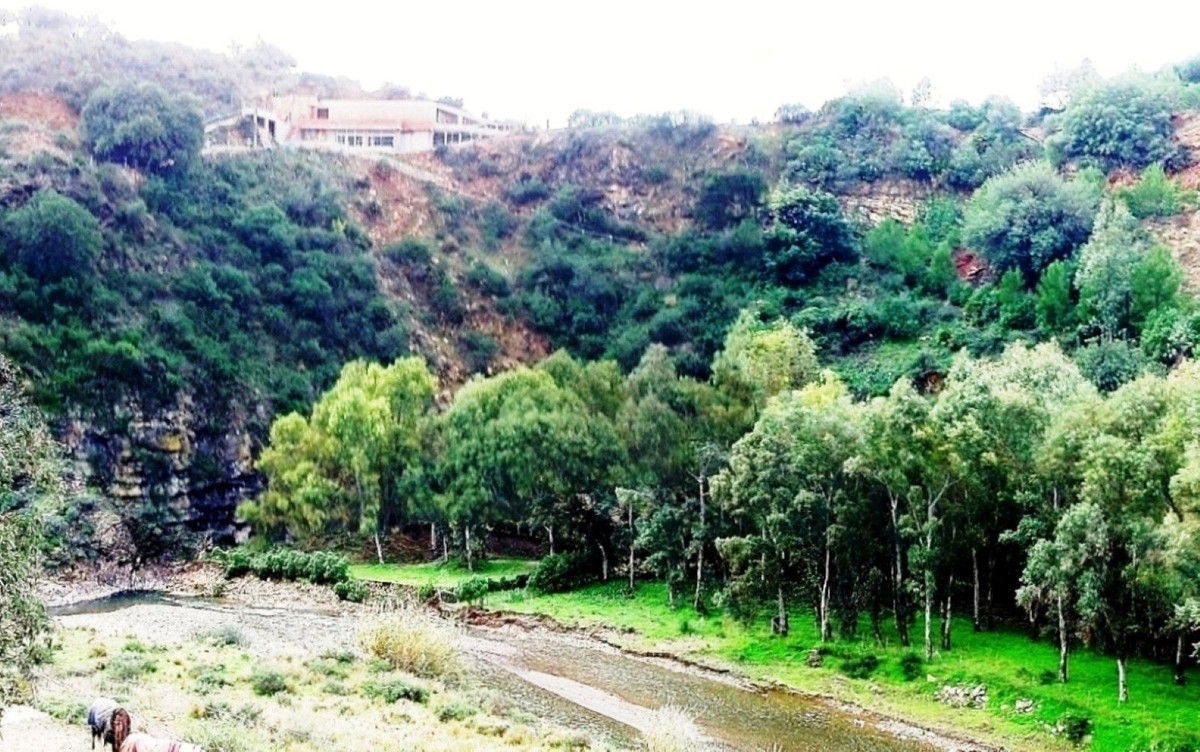 7 Bedroom Country house in Mijas - Foto 13