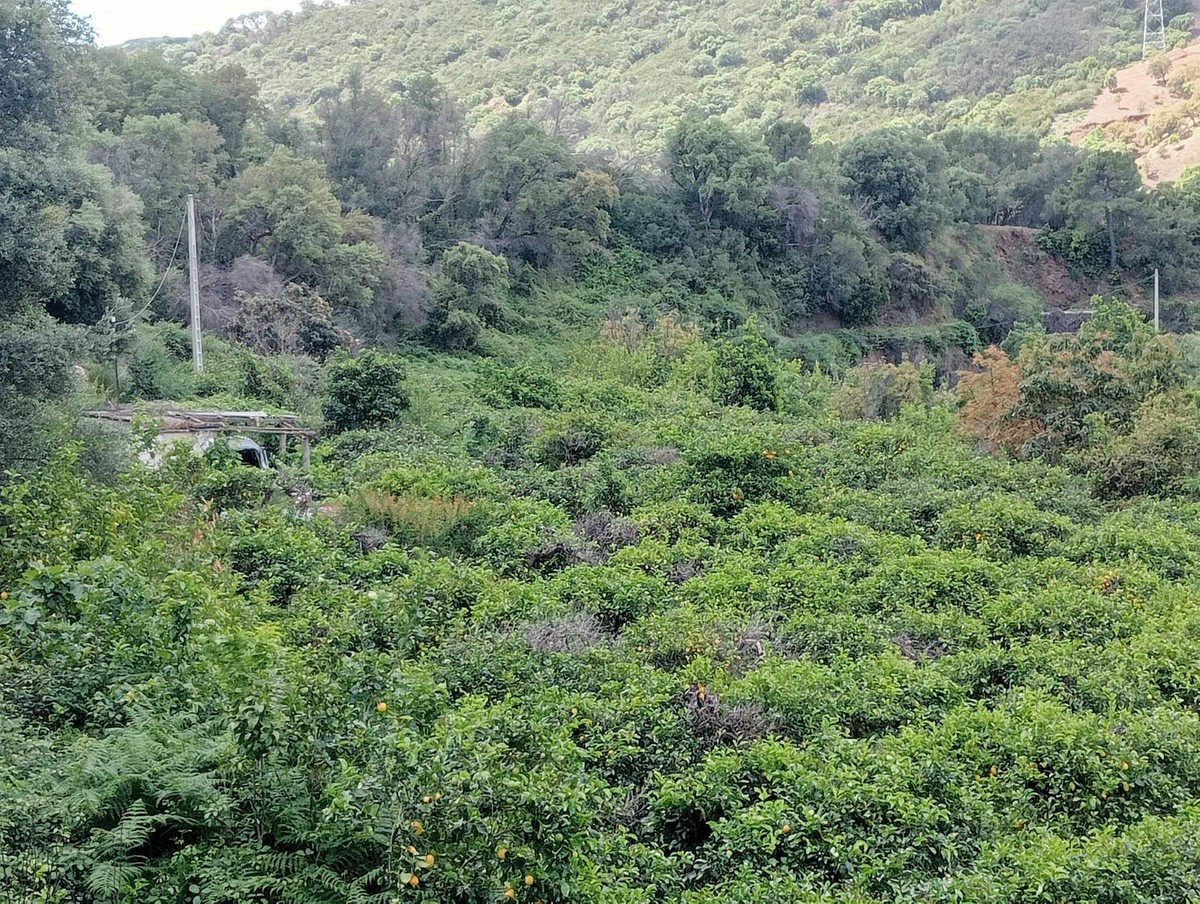 10,000 m² Plot in Estepona - Photo 2