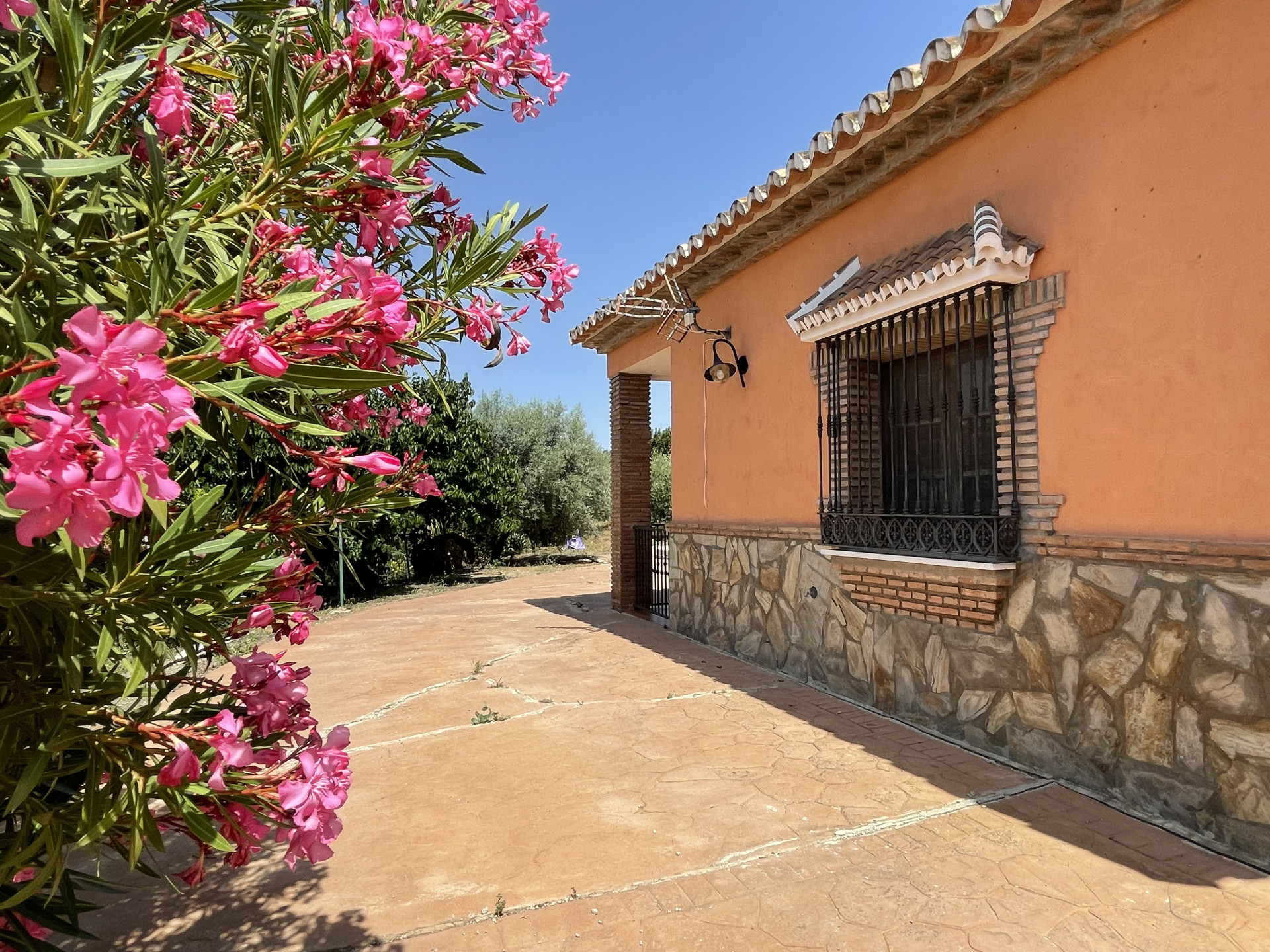 14 Bedroom Country house in Villanueva de la Concepción - Photo 46