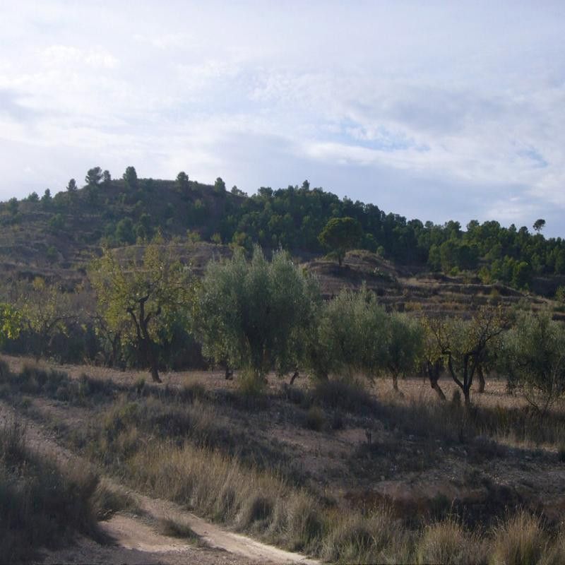 Villa con 3 camere a Murcia, Spagna – Foto 2