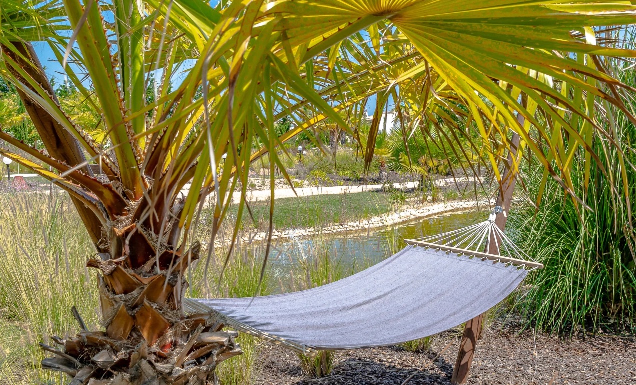 Gewerbefläche mit Pool in Spanien – Foto 29