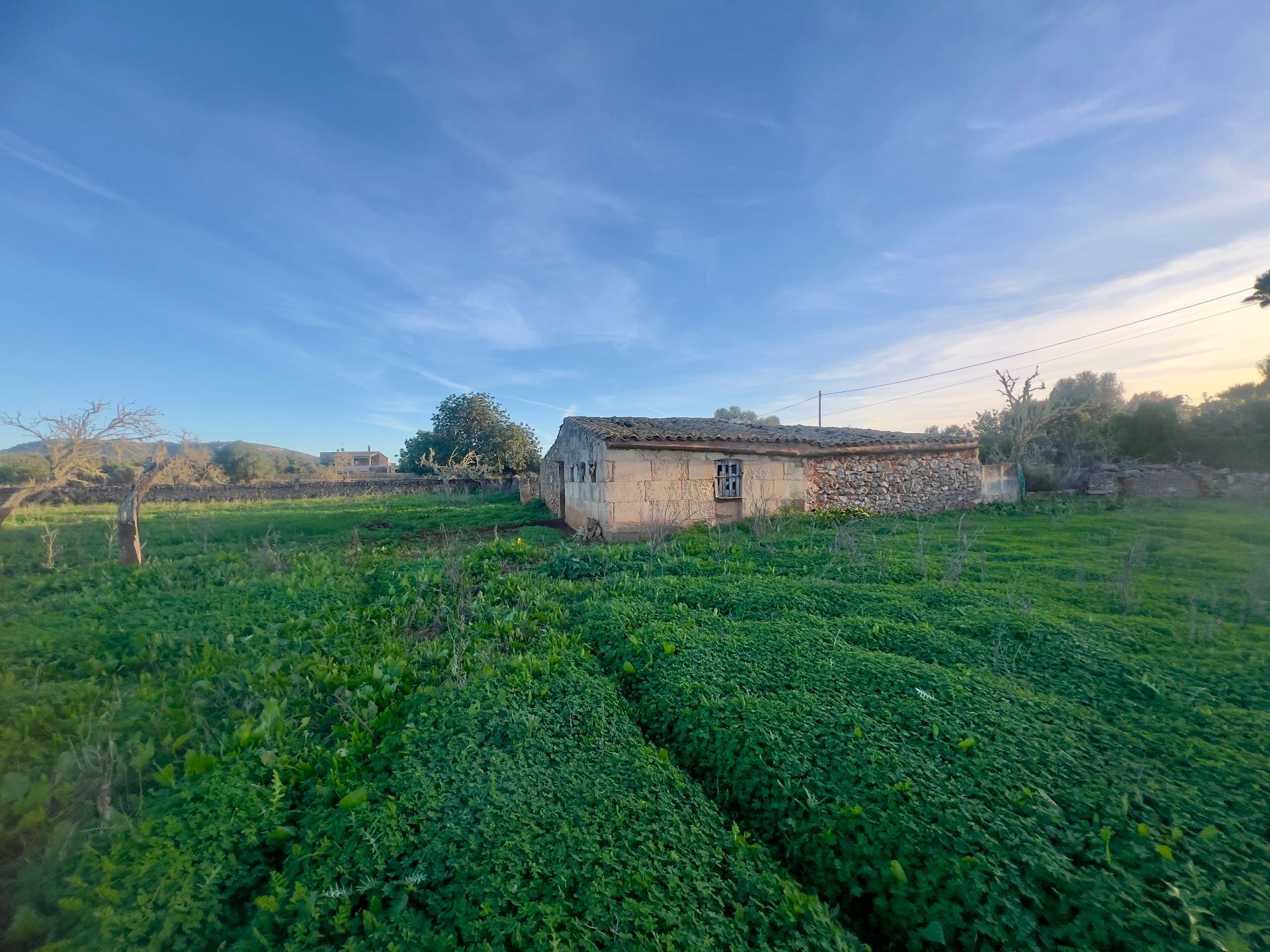 Moradia com 4 quartos com piscina em Baleares, Espanha – Foto 10