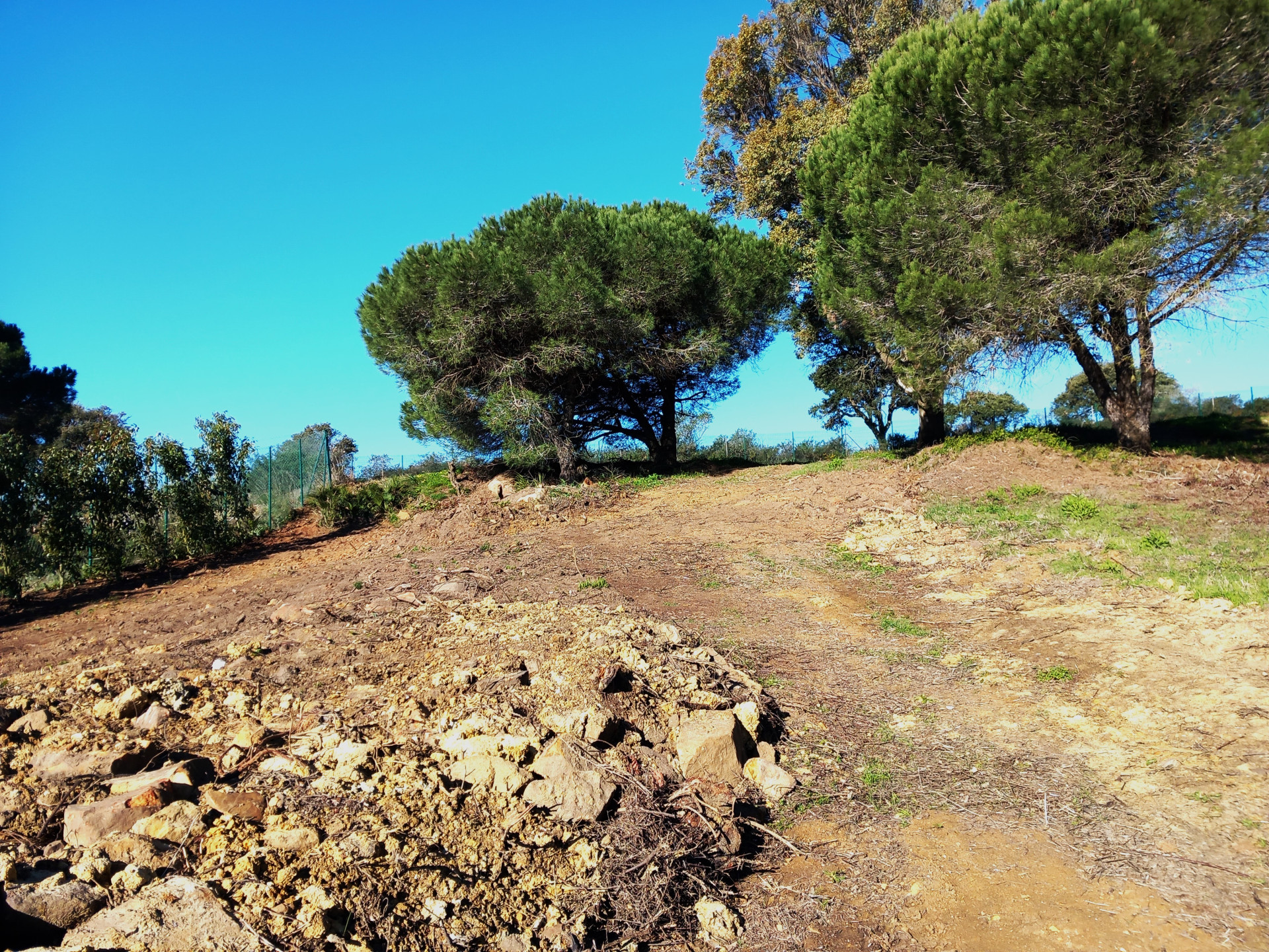 2,703 m² Plot in Sotogrande - Photo 9