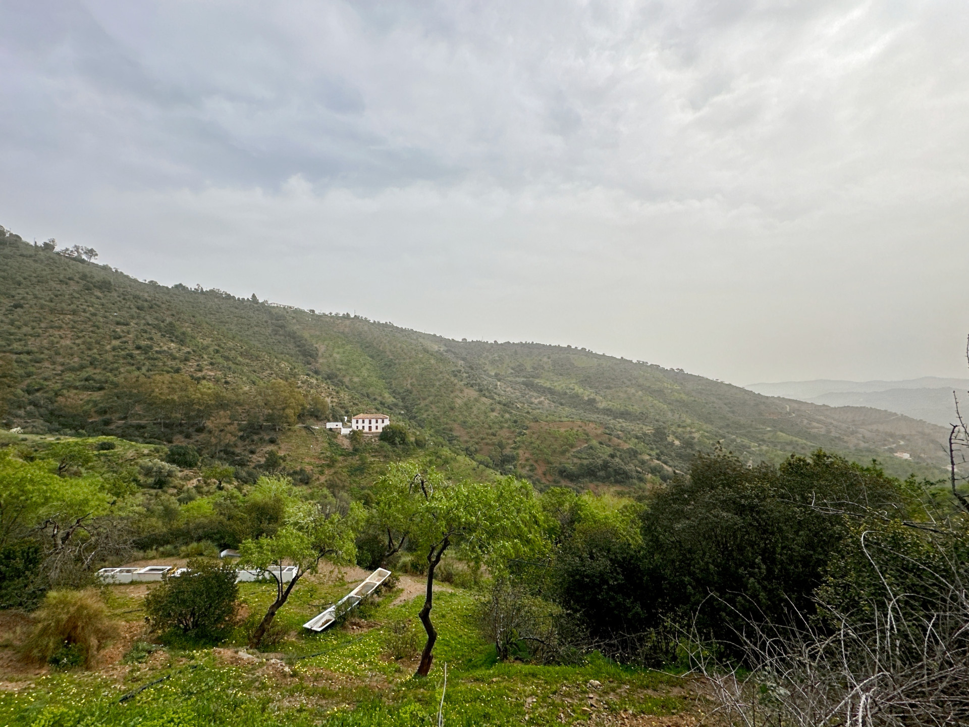 8 Bedroom Country house in Málaga - Photo 5