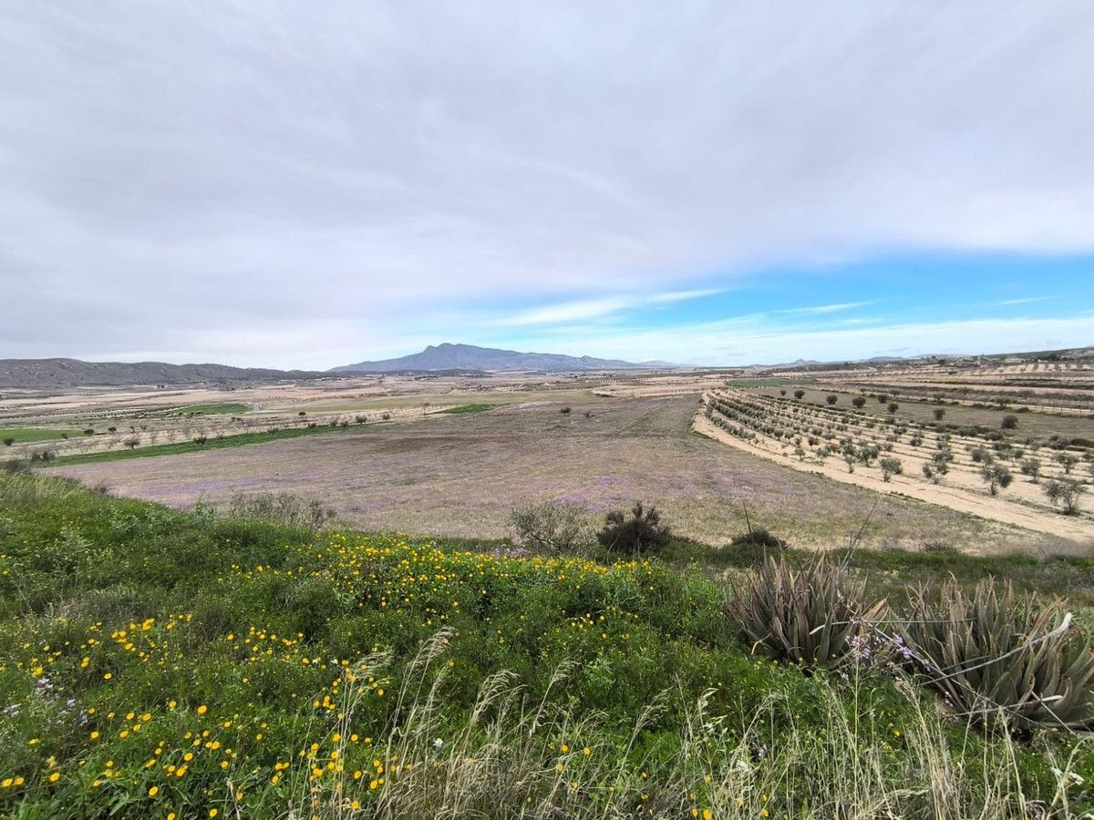 Villa con 6 camere a Murcia, Spagna – Foto 5